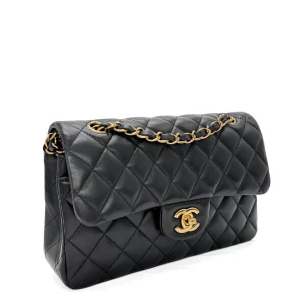 IMG_3447_jpg IMG_3447_jpg