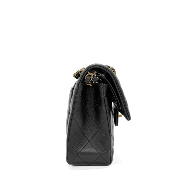 IMG_3448_jpg IMG_3448_jpg