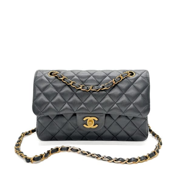 IMG_3460_jpg IMG_3460_jpg