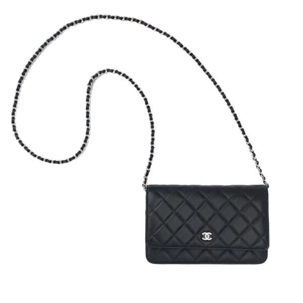 IMG_1587_jpg IMG_1587_jpg