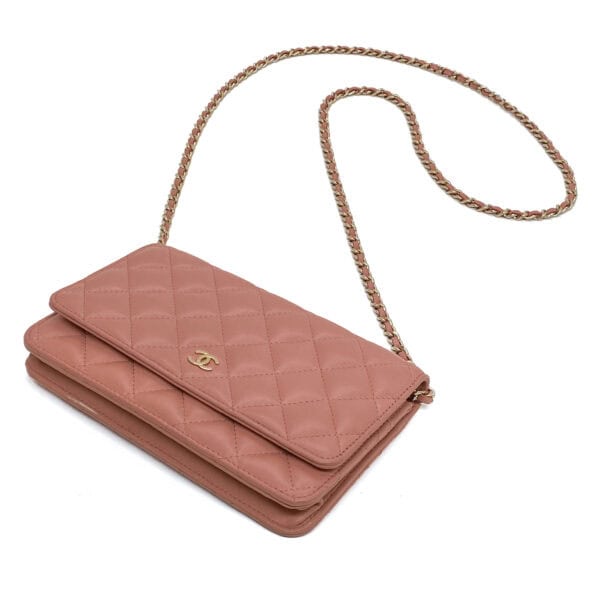 IMG_2169_jpg IMG_2169_jpg