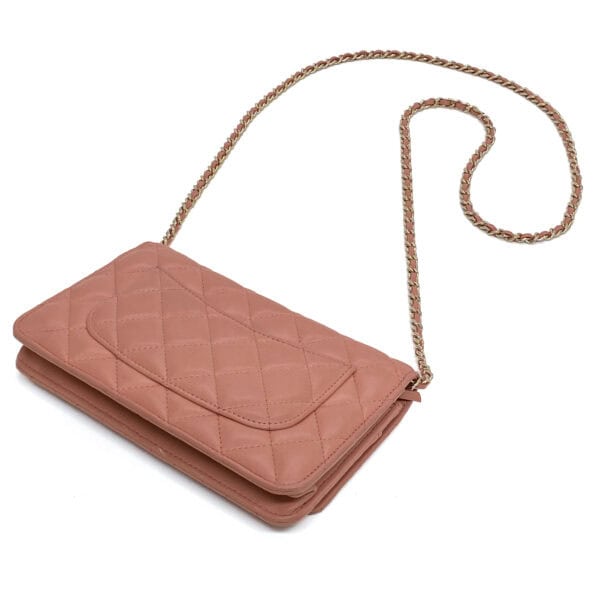 IMG_2170_jpg IMG_2170_jpg