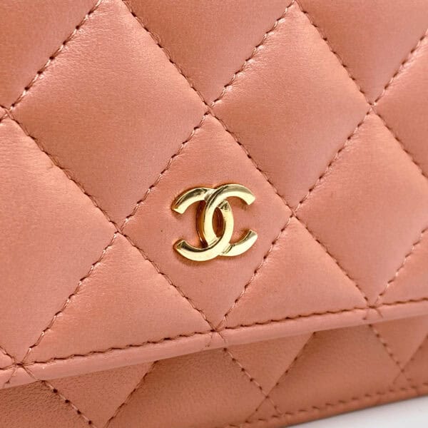 IMG_2173_jpg IMG_2173_jpg