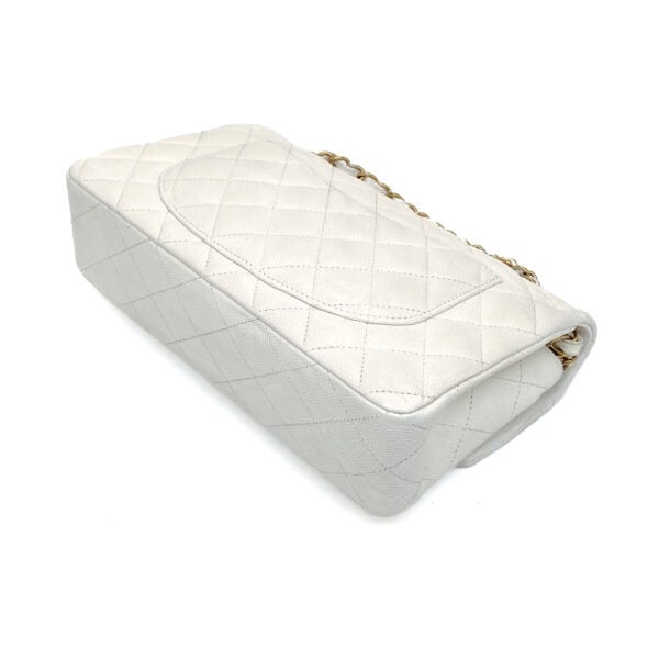 IMG_3595_jpg IMG_3595_jpg