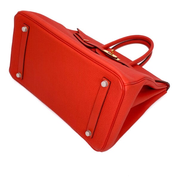 IMG_4456_jpg IMG_4456_jpg