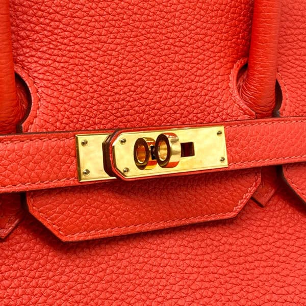 IMG_4460_jpg IMG_4460_jpg