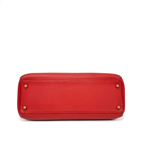 IMG_6784_jpg IMG_6784_jpg