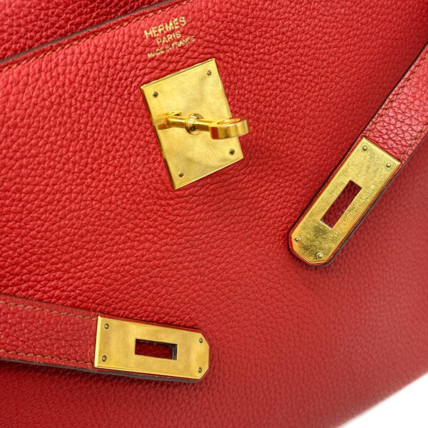 IMG_6786_jpg IMG_6786_jpg