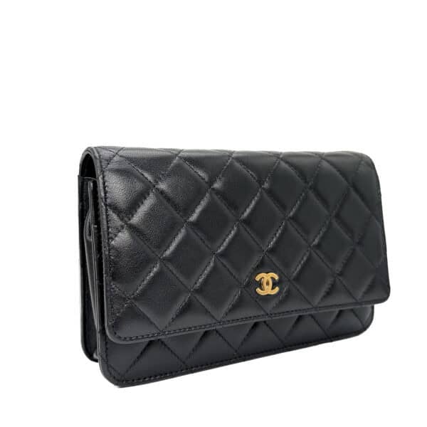 IMG_0202_jpg IMG_0202_jpg