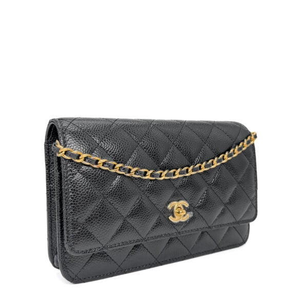 IMG_2484_jpg IMG_2484_jpg