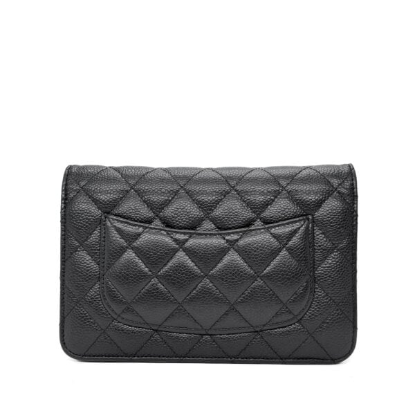 IMG_0233_jpg IMG_0233_jpg