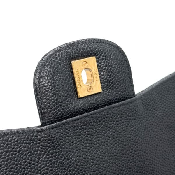 IMG_6556_jpg IMG_6556_jpg