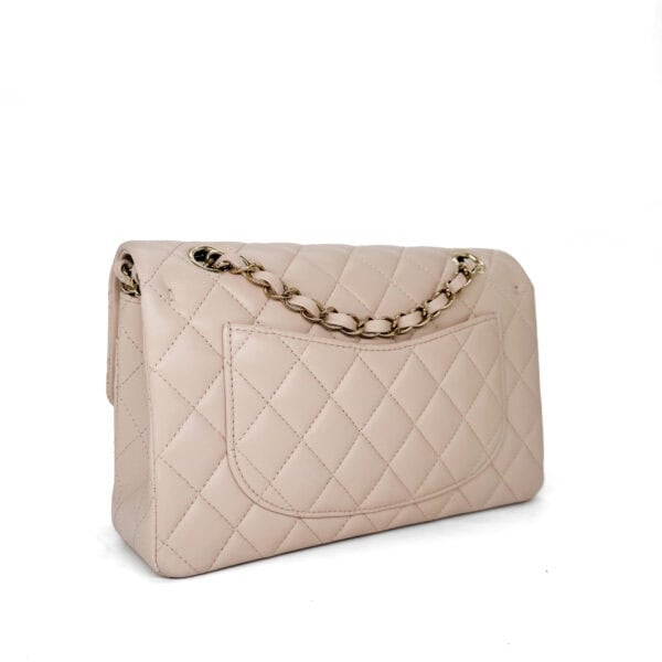 IMG_5518_jpg IMG_5518_jpg