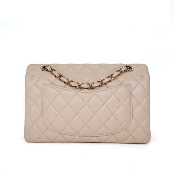 IMG_5519_jpg 2 IMG_5519_jpg 2