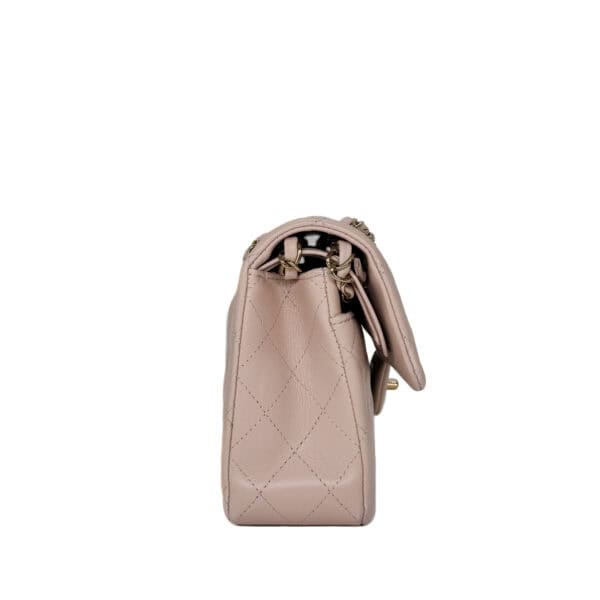 IMG_5521_jpg IMG_5521_jpg