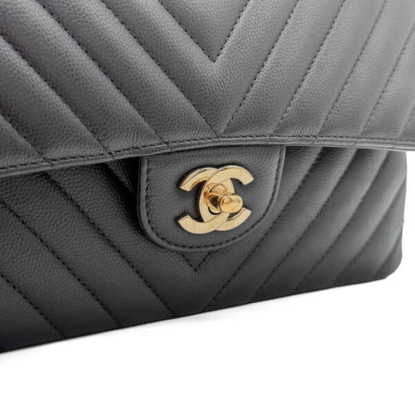 IMG_6555_jpg IMG_6555_jpg