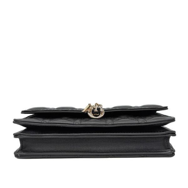 IMG_1165_jpg IMG_1165_jpg