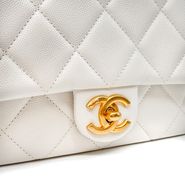 IMG_4556_jpg IMG_4556_jpg